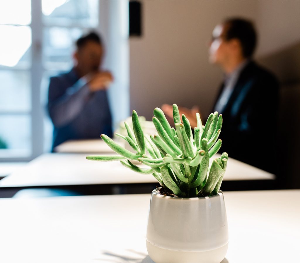 Im Vordergrund eine Sukkulente, im Hintergrund machen zwei Männer Pause und reden, einer trinkt einen Espresso